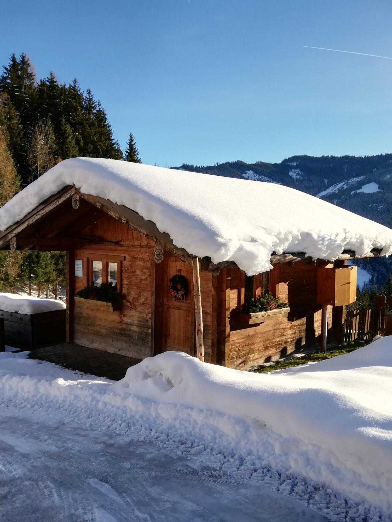 Bauernhof Bachgut Villa มึลบาค อัม โฮคเคอนิก ภายนอก รูปภาพ